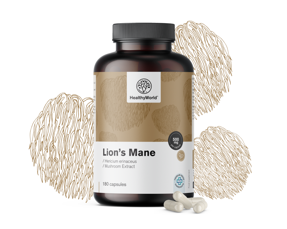 Лъвска грива - гъба